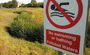 The Moselle in Lordship Recreation Ground, polluted by misconnected plumbing